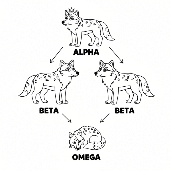 Wolf pack hierarchy diagram showing alpha beta and omega